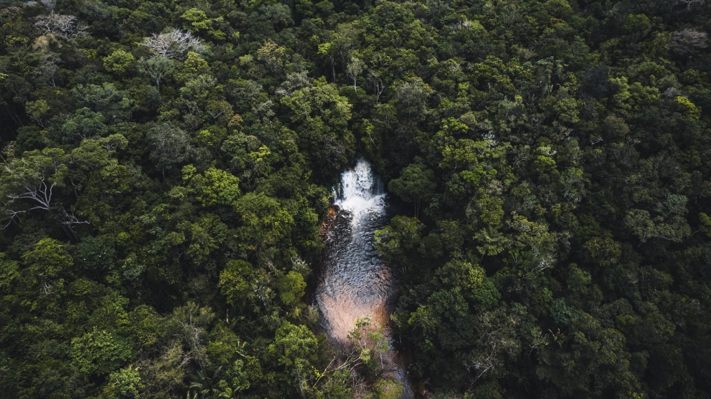Visão panorâmica de cachoeira cerca por vegetação florestal em dia claro