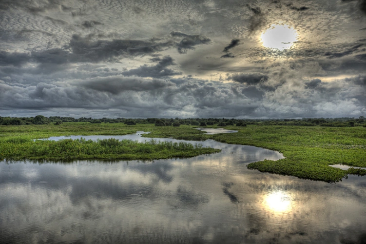 Rio Claro, no Pantanal, emoldurado por vegetação rasteira. O sol brilha entre as nuvens e reflete na água.