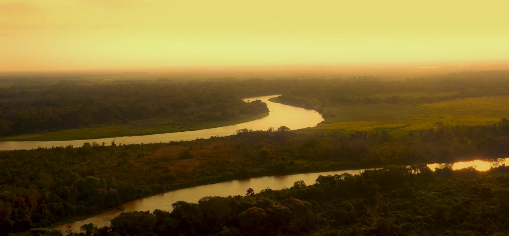 Paisagem de rios pantaneiros cercados por vegetação nativa em fim de tarde