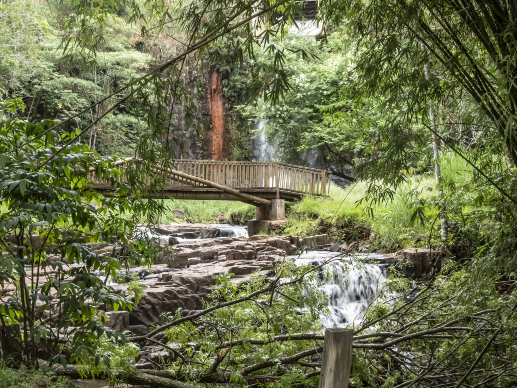 Vegetação de um parque municipal, Há uma ponte de madeira no centro da imagem e, ao fundo, uma queda d’água