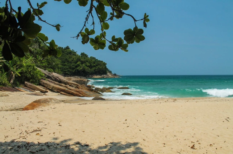 Vista para a faixa de areia e mar verde-esmeralda com algumas pedras no canto esquerdo. Vegetação ao fundo