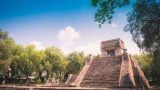 Antiga pirâmide maia bem preservada em meio à natureza local.