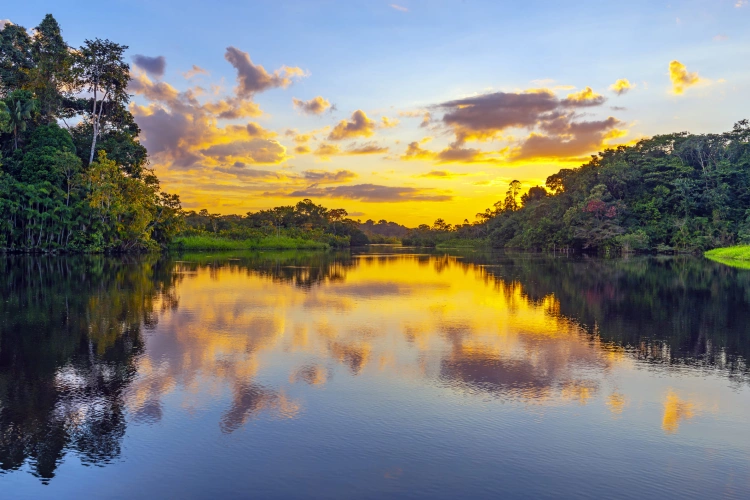 Pôr do sol reflete em um rio em meio à Floresta Amazônica