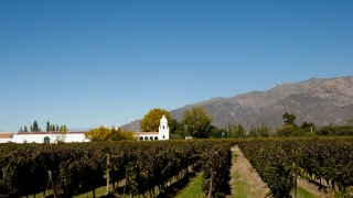 Foto de vinícola. À primeira vista, a plantação de vinhedos e, ao fundo, construções no estilo colonial. Uma montanha se destaca à esquerda, em frente ao céu azul.