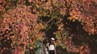 Duas mulheres posam para foto ao lado de uma árvore com folhas avermelhadas em Bento Gonçalves - RS