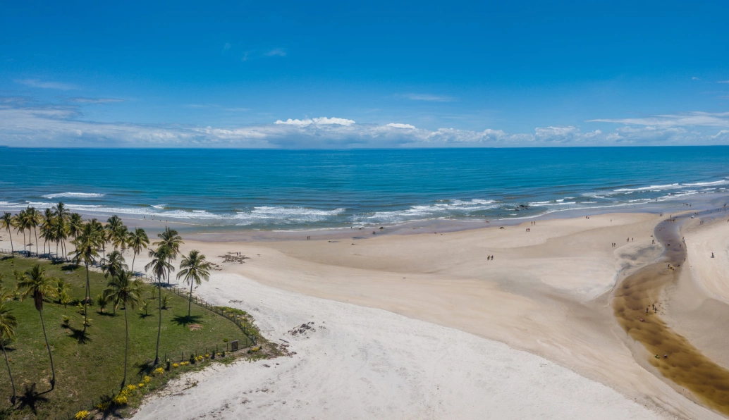 Vista aérea de praia com extensa faixa de areia. Coqueiros no lado esquerdo da imagem, e um pequeno rio no canto direito