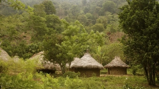 Aldeia de povos originários colombianos. Construções de pau a pique em meio à floresta.
