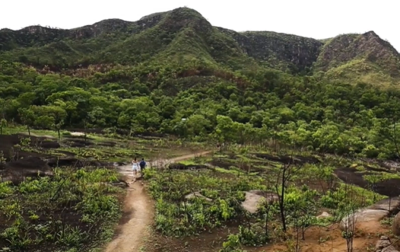Duas pessoas caminham por uma trilha aberta em vegetação rasteira. Montanhas e muitas árvores ao fundo