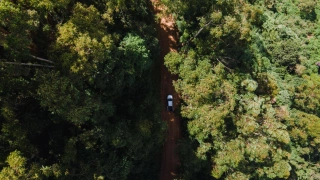 Vista aérea de um carro passando por estrada de terra cercada de vegetação
