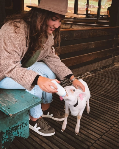 mulher alimenta uma ovelha com mamadeira de leite em Bento Gonçalves - RS