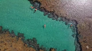 Pessoas flutuando em praia de piscina natural de águas transparentes cercadas de corais