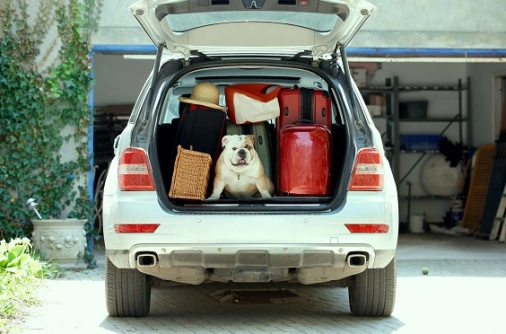 Carro com porta-malas aberto com várias malas e um cachorro.