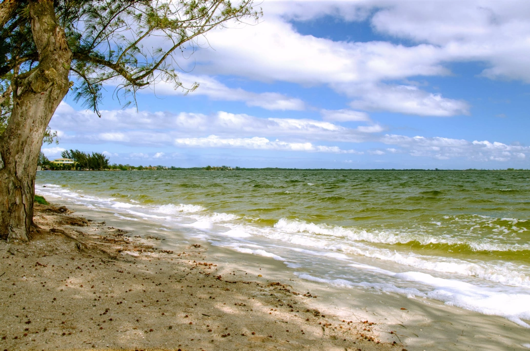 Praia com água de lagoa na cidade de Araruama-RJ