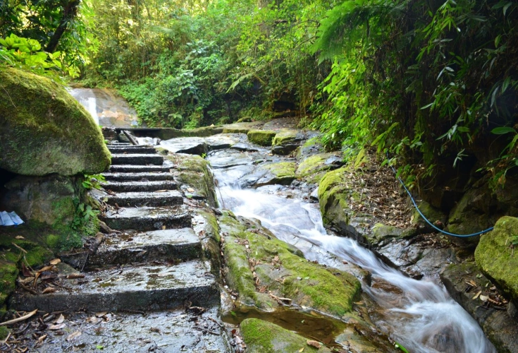 No canto direito, curso de água sobre pedras em meio à vegetação densa. No canto esquerdo, uma pequena escada de pedra