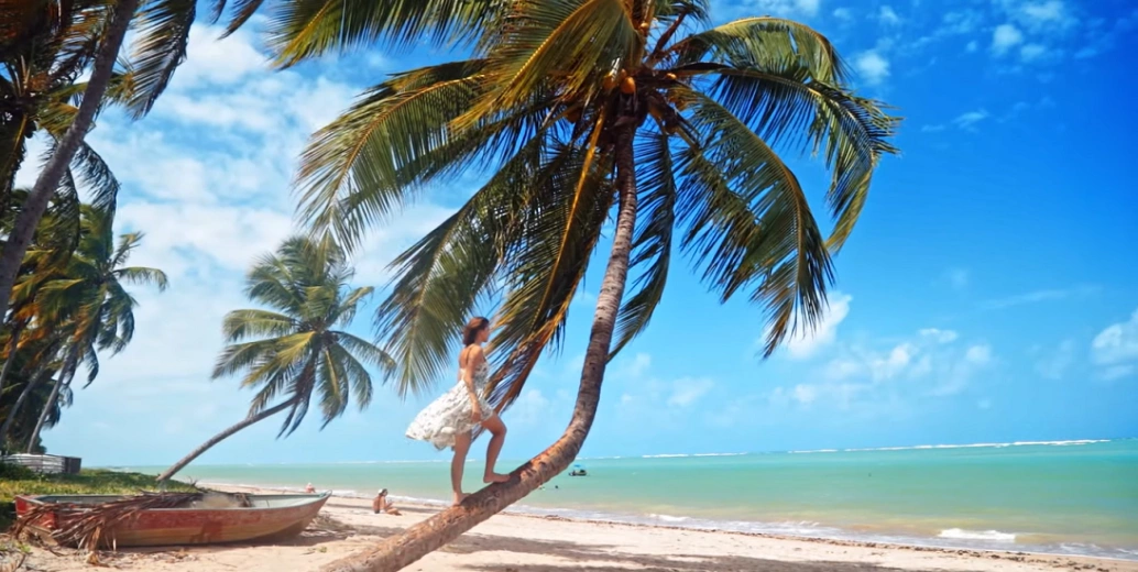 Mulher em pé sob coqueiro da praia em dia ensolarado