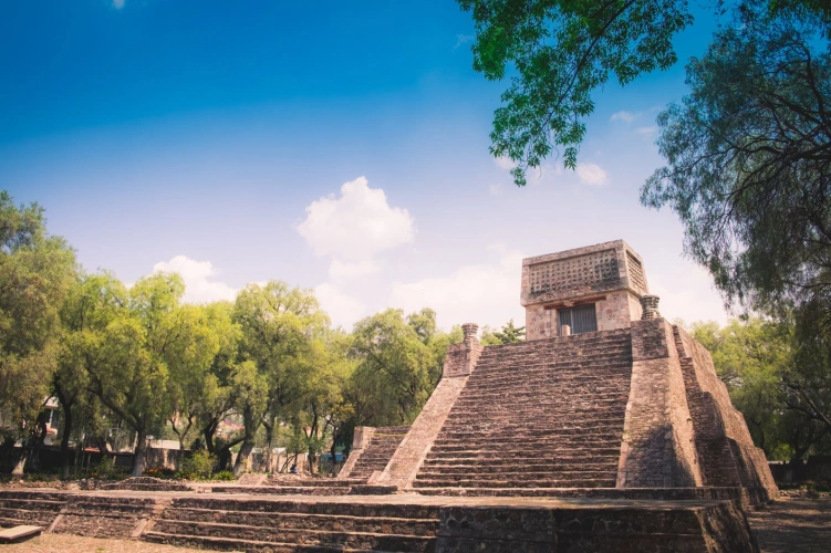 Antiga pirâmide maia bem preservada em meio à natureza local.