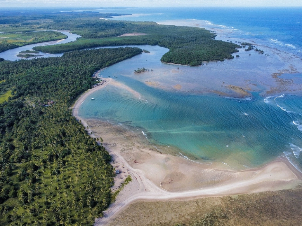 Vista aérea de águas azuis cristalinas e bancos de areia formados pela maré baixa cercados por extensa vegetação nativa.