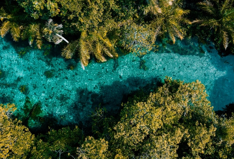 Vista aérea de um rio de água azul cristalina cercado por vegetação em dia claro