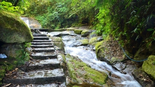 No canto direito, curso de água sobre pedras em meio à vegetação densa. No canto esquerdo, uma pequena escada de pedra