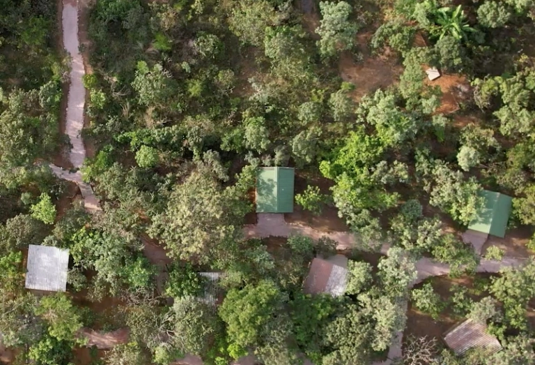Vista aérea de uma área com vegetação e algumas habitações distribuídas no campo