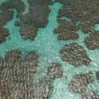 Vista de piscinas naturais com corais em mar de água cristalina esverdeada.
