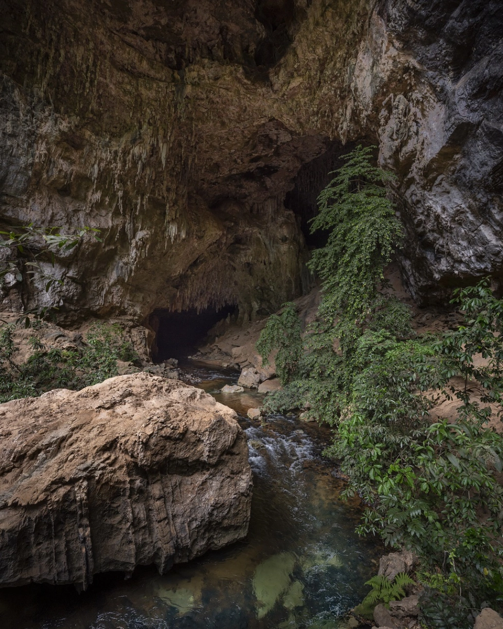 Entrada de uma caverna com várias pedras e formações rochosas cobertas por grama verde e com poça dágua passando pelas pedras