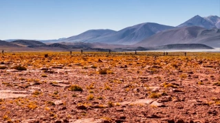 Imagem de deserto e montanhas vulcânicas