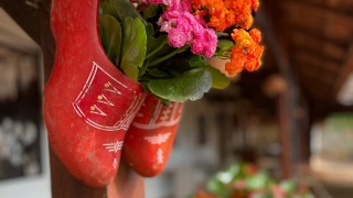 Dois sapatos holandeses vermelhos pendurados com flores dentro deles.