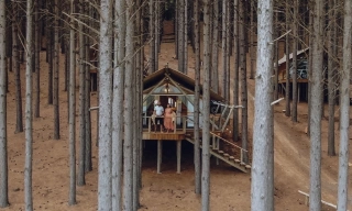 Casal à frente de casa localizada em bosque de pinus