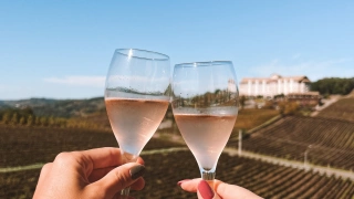 Imagem focando duas taças de vinho rosé sendo seguradas por mãos femininas, ao fundo, podemos ver um vinhedo e uma grande casa antiga
