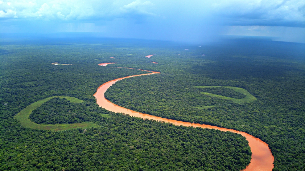 Rio São Lourenço cercado dos dois lados pela vegetação do Pantanal