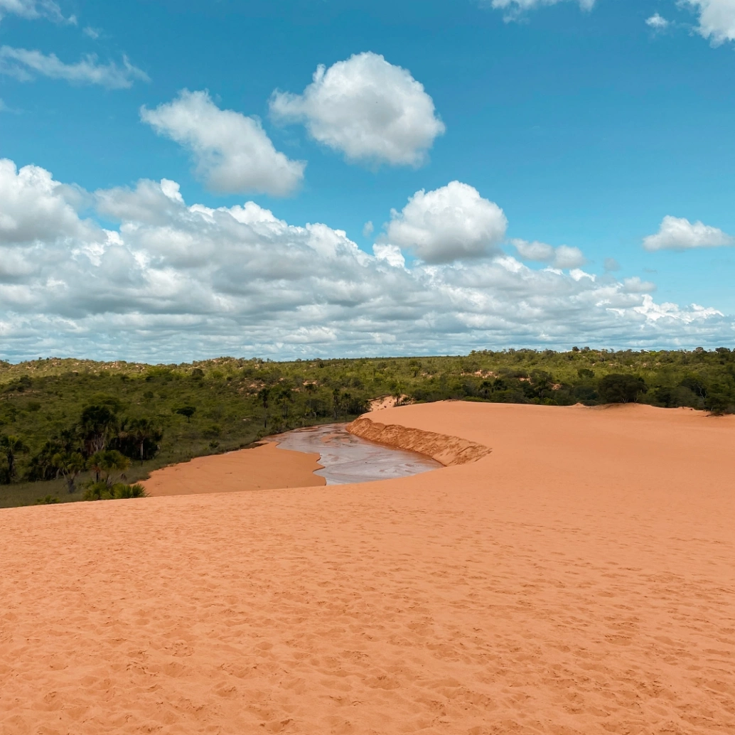 Paisagem das dunas de areias douradas do Parque Estadual do Jalapão, cercadas por vegetação nativa em dia claro.