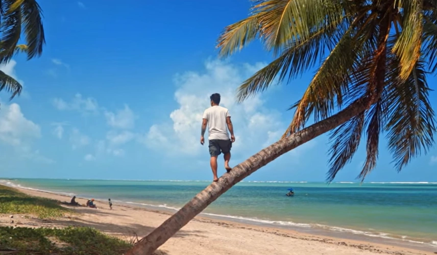 Homem em pé sob coqueiro da praia em dia ensolarado