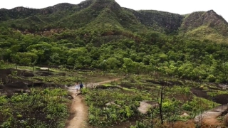 Duas pessoas caminham por uma trilha aberta em vegetação rasteira. Montanhas e muitas árvores ao fundo