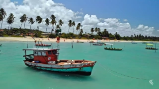 Barcos em praia de águas azuis transparentes e árvores na costa em dia ensolarado