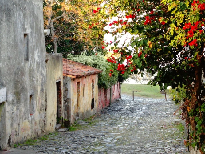Rua de pedra com casinhas simples e coloridas de um lado e árvore florida de outro