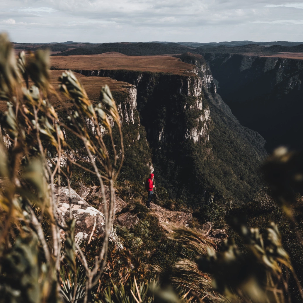 Homem de jaqueta vermelha contempla a paisagem próximo ao topo de um cânion. Ao fundo, paredes rochosas de topo reto, com vegetação em sua base.